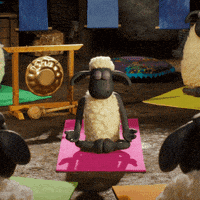 每日GIF(2020-04-09)的gif-Shaun The Sheep Yoga GIF by Aardman Animations