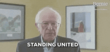 每日GIF(2020-04-09)的gif-Bernie Sanders Defeat Donald Trump GIF