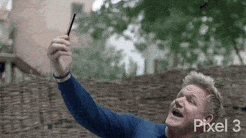 开心GIF的gif-gordon ramsay love GIF by Google