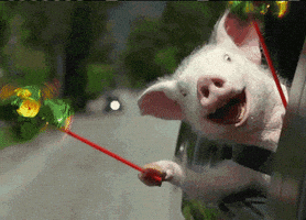 开心GIF的gif-Happy Fun GIF