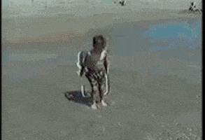 莱昂纳多·迪卡普里奥GIF的gif-beach day GIF