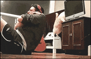 在家上班的gif-Work From Home Computer GIF