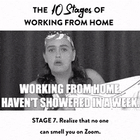 在家上班的gif-Need To Shower Work From Home GIF