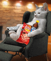 在家上班的gif-couch potato working from home GIF