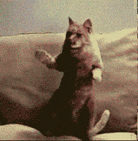 在家上班的gif-working from home GIF