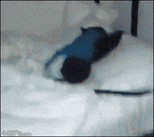 在家上班的gif-tired wake up GIF