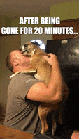 在家上班的gif-welcome back hug GIF by A Magical Mess