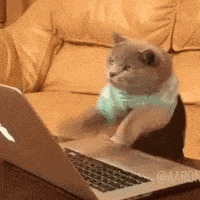 在家上班的gif-Work Work Work GIF by memecandy