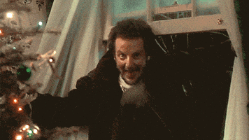 在家上班的gif-home alone christmas GIF