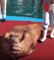 在家上班的gif-athletic work out GIF