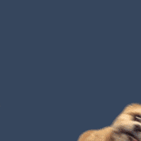 惊吓的gif-scared ariana grande GIF