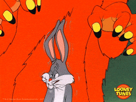 惊吓的gif-bugs bunny wtf GIF by Looney Tunes
