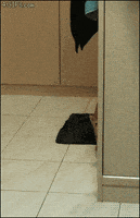 惊吓的gif-scared hide-and-seek GIF