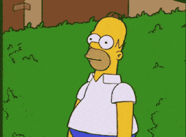 惊吓的gif-scared homer simpson GIF