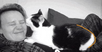 每日GIF(2020-04-14)的gif-Kate Mckinnon Snl GIF by Saturday Night Live