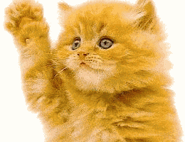 每日GIF(2020-04-14)的gif-Bye Bye Goodbye GIF