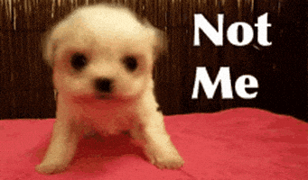 每日GIF(2020-04-14)的gif-Im Not GIF