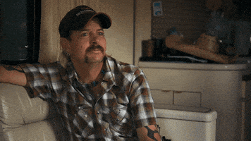 每日GIF(2020-04-14)的gif-Big Cat Money GIF by NETFLIX