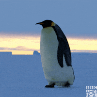 每日GIF(2020-04-15)的gif-Walking Alone GIF by BBC America