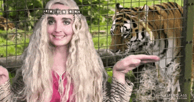 每日GIF(2020-04-15)的gif-Snl GIF by Saturday Night Live