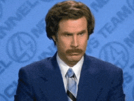 随便吧的gif-ron burgundy no GIF