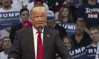 随便吧的gif-donald trump whatever GIF