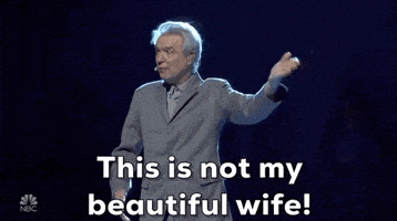 每日GIF(2020-04-19)的gif-David Byrne Snl GIF by Saturday Night Live