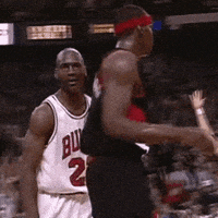 每日GIF(2020-04-19)的gif-Chicago Bulls Basketball GIF by NBA