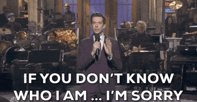 每日GIF(2020-04-19)的gif-John Mulaney Snl GIF by Saturday Night Live