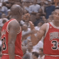 每日GIF(2020-04-19)的gif-Chicago Bulls Basketball GIF by NBA
