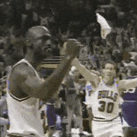 每日GIF(2020-04-20)的gif-Chicago Bulls Basketball GIF by NBA