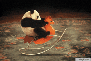 熊猫的gif-panda GIF