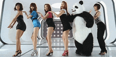熊猫的gif-dance GIF