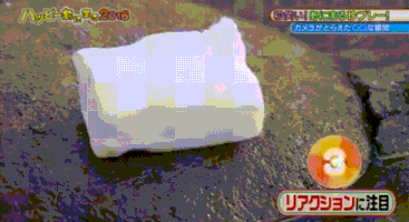 熊猫的gif-panda trash GIF