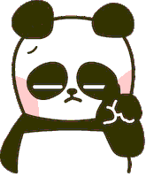 熊猫的gif-panda no GIF by Shiny bear