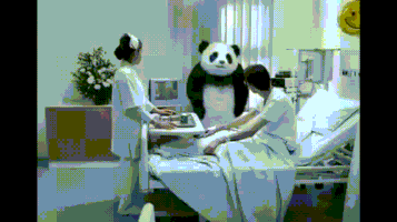 熊猫的gif-panda caregiver GIF