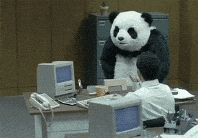 熊猫的gif-angry kung fu panda GIF