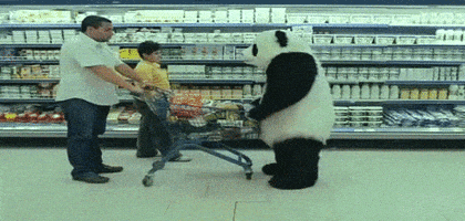 熊猫的gif-panda GIF