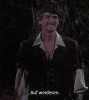 拜拜的gif-auf weidesen german GIF