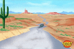 拜拜的gif-road runner goodbye GIF by Looney Tunes
