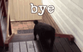 拜拜的gif-share discover GIF