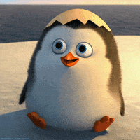 哈喽的gif-Bom Dia Hello GIF