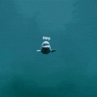 哈喽的gif-Water Hello GIF