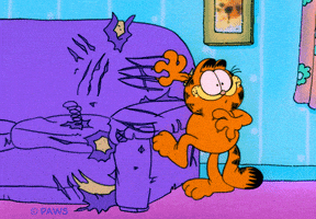 哈喽的gif-cat hello GIF by Garfield