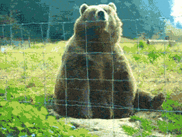 哈喽的gif-Bom Dia Hello GIF