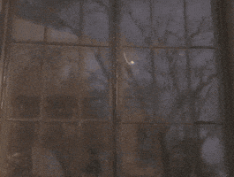 每日GIF(2020-04-21)的gif-Good Morning Windows GIF by Star Trek