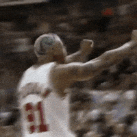 每日GIF(2020-04-21)的gif-Chicago Bulls Basketball GIF by NBA