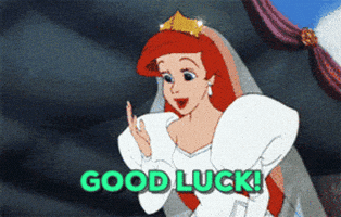 好运的gif-the little mermaid good luck GIF