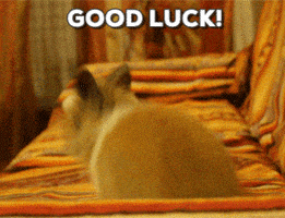 好运的gif-good luck GIF