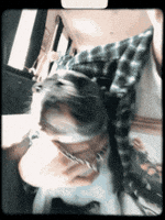 好运的gif-Animated GIF